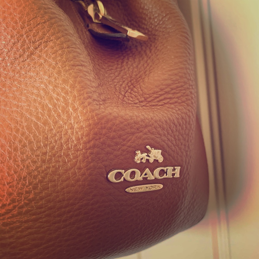 Brown Coach Hobo Purse